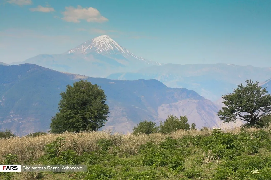 Mossy Hyrcanian forest in Mazandaran — a Pleistocene relict inscribed by UNESCO in 2019.
