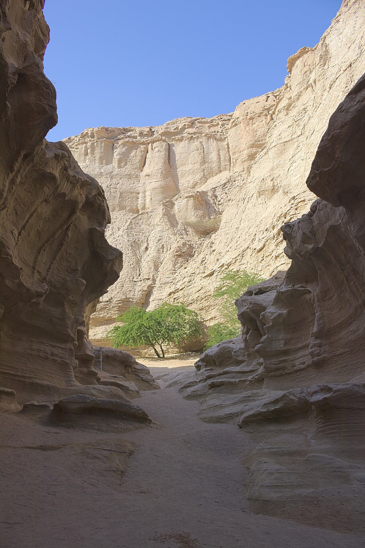 The Chahkooh slot canyon on Qeshm Island — part of Iran's first UNESCO Global Geopark.