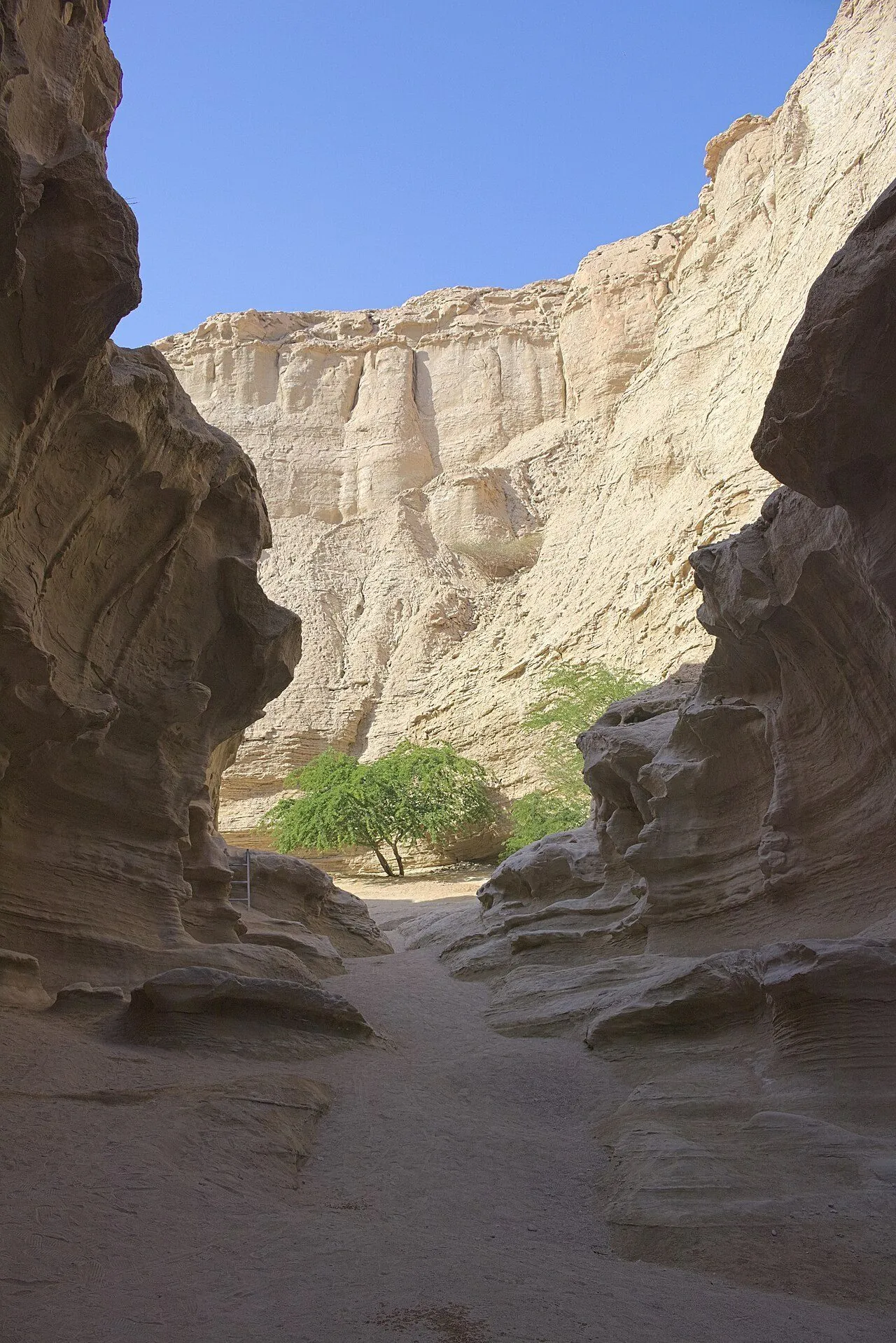 Chahkooh Canyon, Qeshm Island — UNESCO Global Geopark in the Persian Gulf, sculpted by wind and salt.