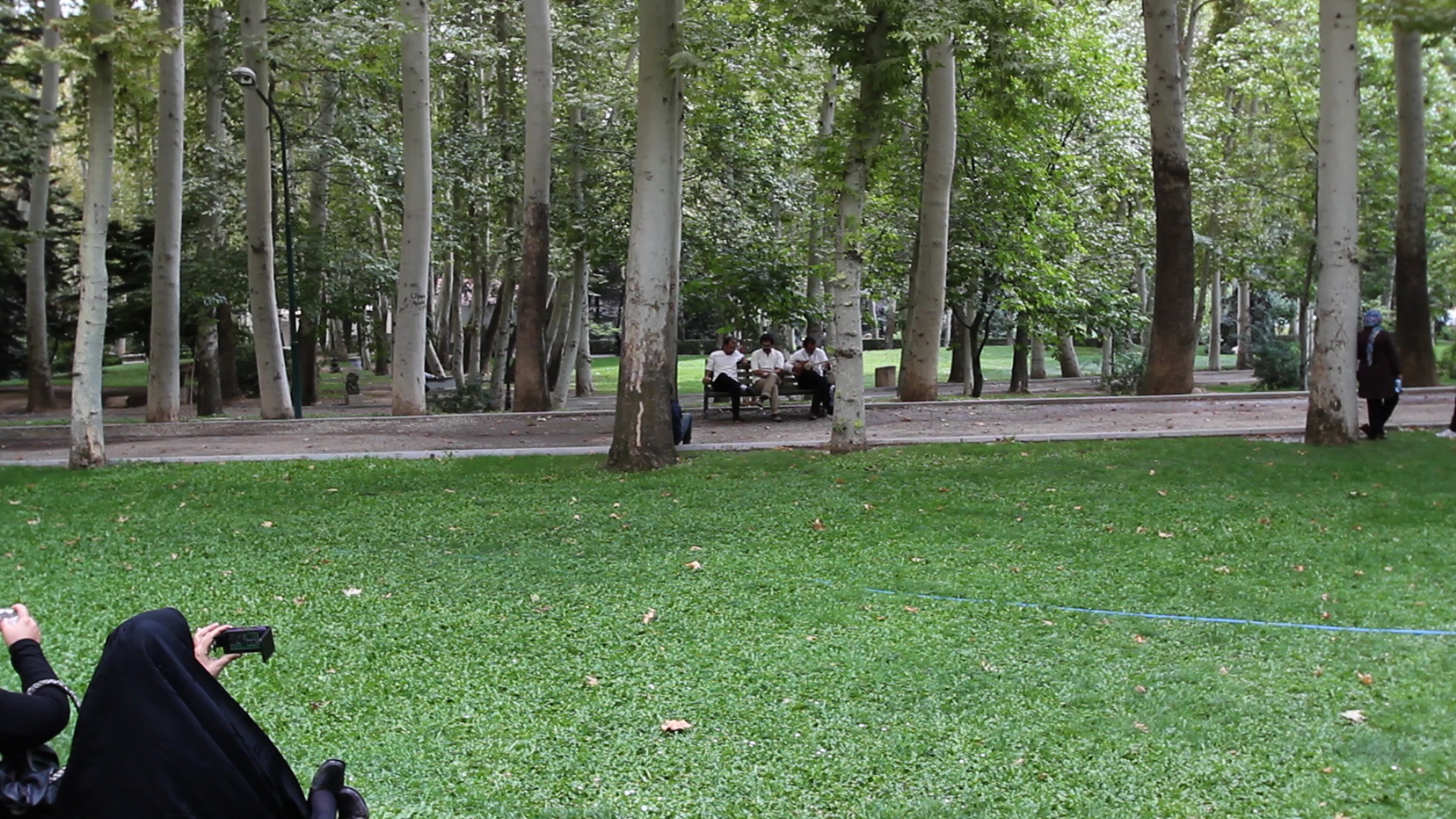 The Saadabad Palace complex in the wooded hills of north Tehran — eighteen pavilions in 110 hectares of cedar forest.